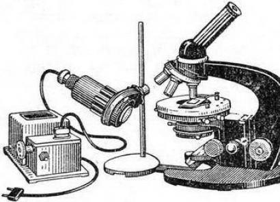 Оптическая часть микроскопа состоит из